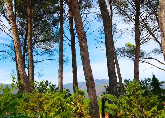 Сasa de vacaciones Golf Valescure - Raphael *